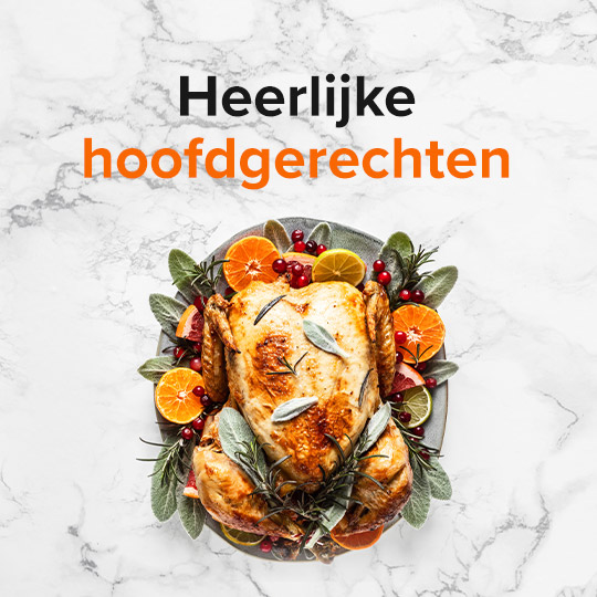 Heerlijke Hoofdgerechten